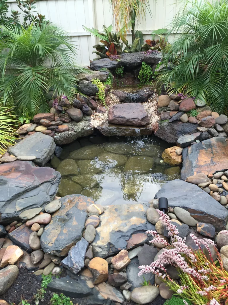 Pond Cleaning - Ponds of Melbourne